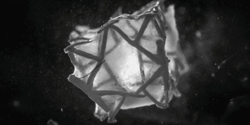 Ratunek dla serca po zawale. Szwajcarzy dokonali niemożliwego