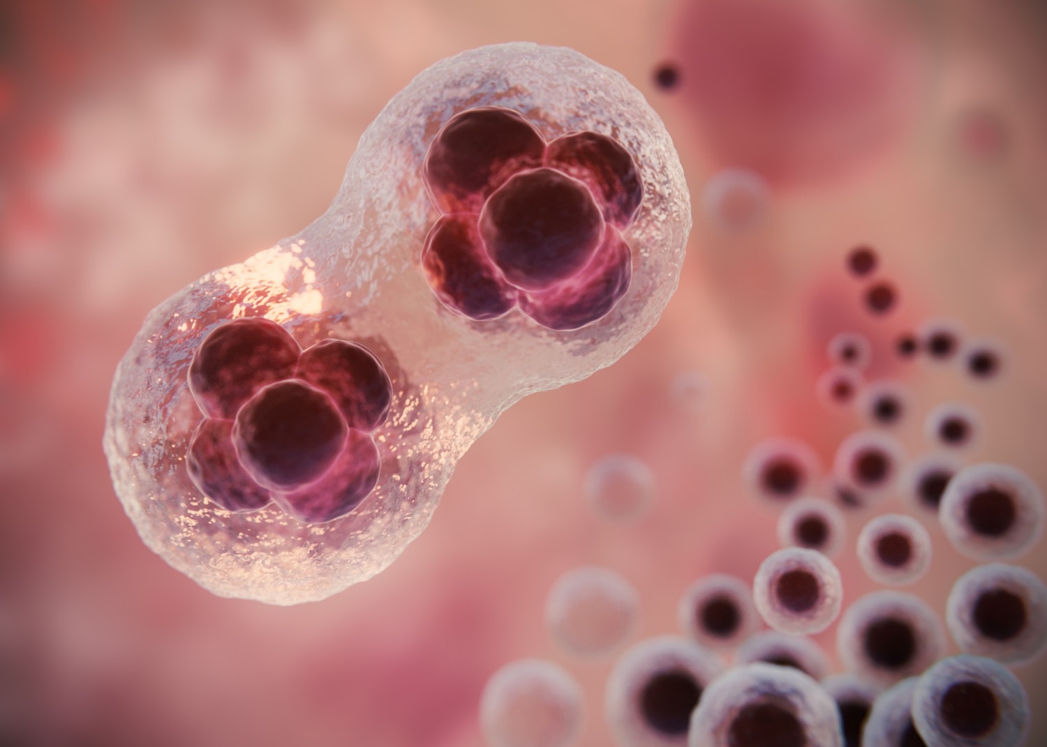 Komórki – zdjęcie poglądowe /Fot. Freepik
