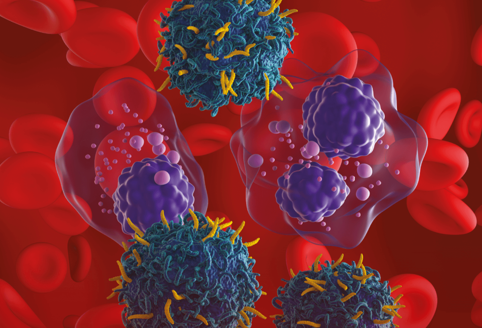 Fot. materiały prasowe
