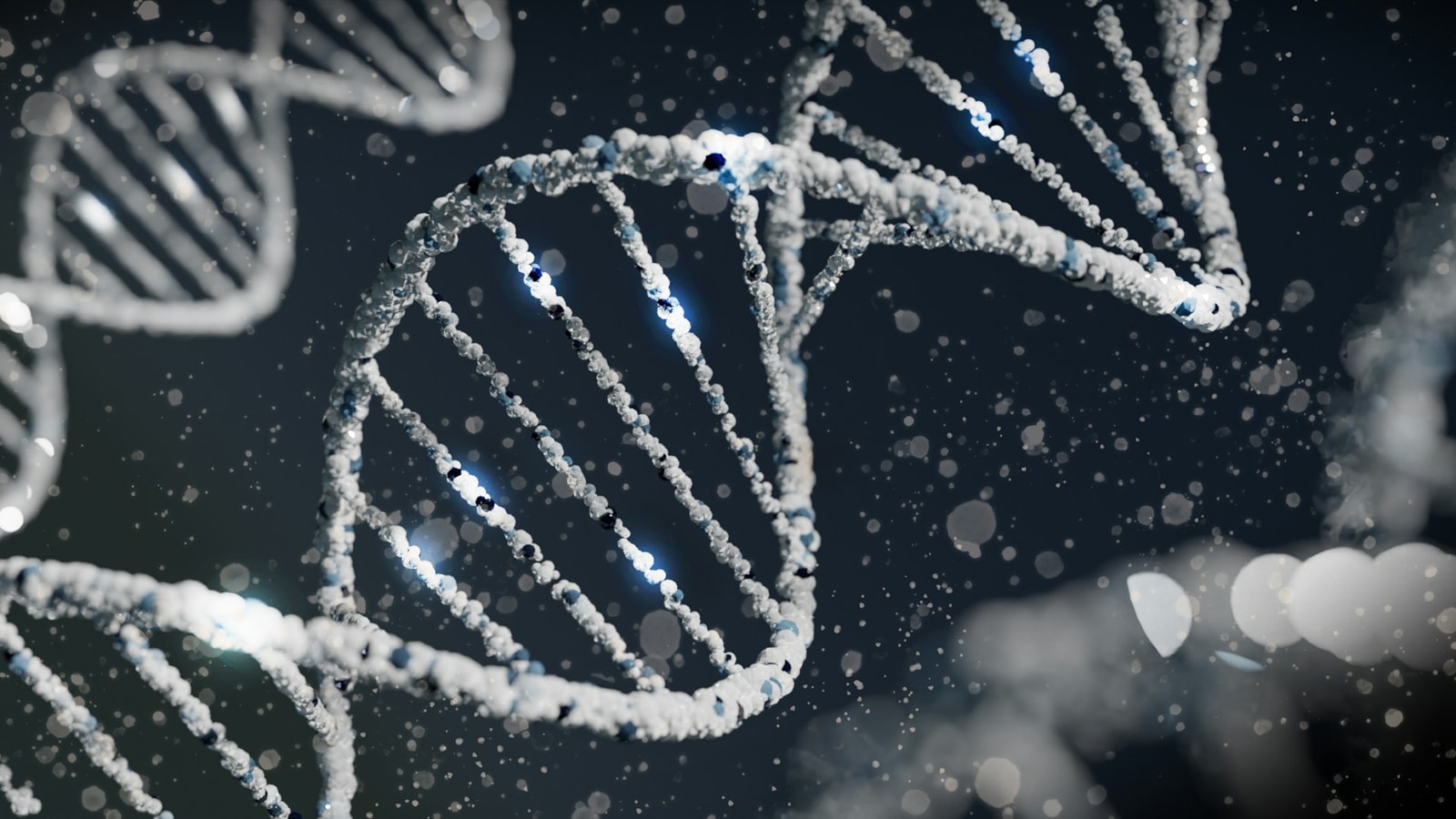 DNA – zdjęcie poglądowe /Fot. Unsplash