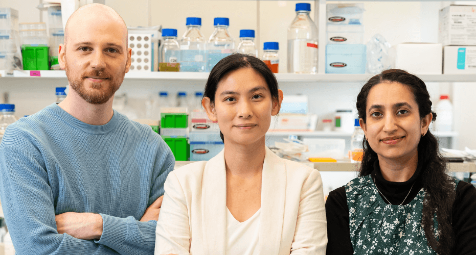 Zespół badawczy z Laboratorium Genomiki Rozwojowej Danio Pręgowanego w Międzynarodowym Instytucie Biologii Molekularnej i Komórkowej w Warszawie: od lewej Costantino Parisi, dr Cecilia Lanny Winata, dr Shikha Vashisht. Fot. IIMCB.