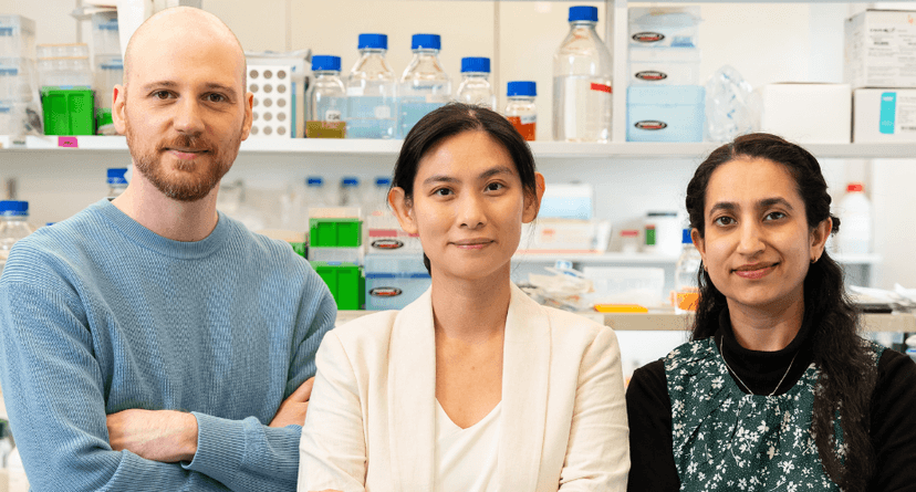 Wrodzone wady serca u noworodków: naukowcy z IIMCB odkrywają tajemnice kodu genetycznego